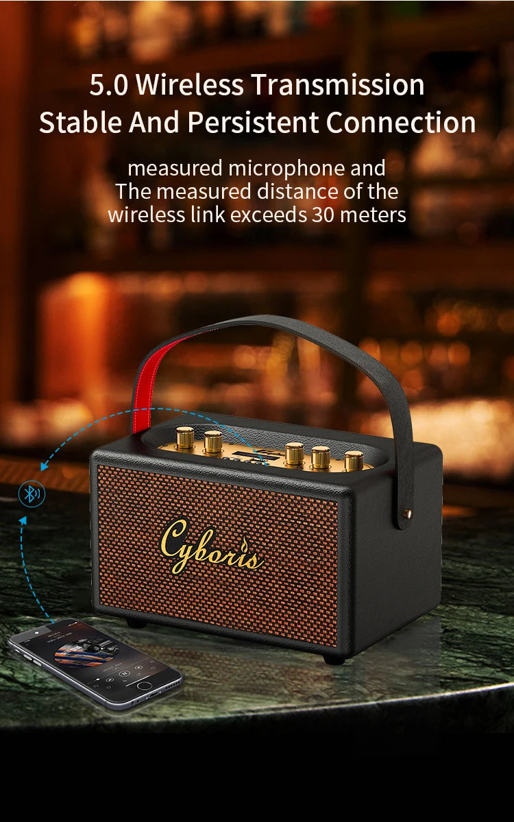 Tang T9 Retro Karaoke 80W Wireless Portable Speaker with Microphone Support AUX IN/TF/U card/Mic /Dual 6.35mm Aux Ports