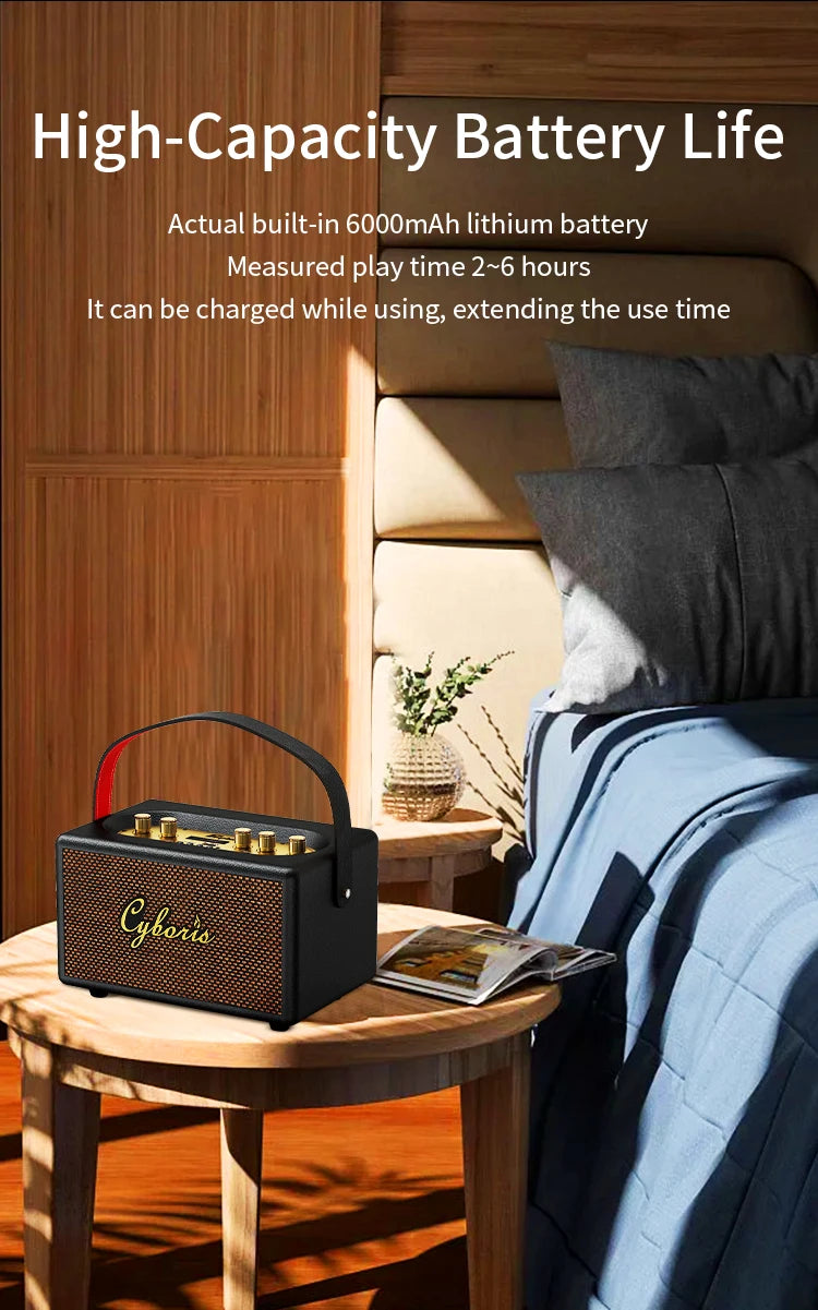 Tang T9 Retro Karaoke 80W Wireless Portable Speaker with Microphone Support AUX IN/TF/U card/Mic /Dual 6.35mm Aux Ports